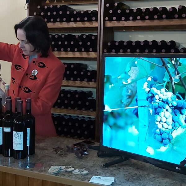 Bereczky-wine-tasting-degustation-20201226_191142