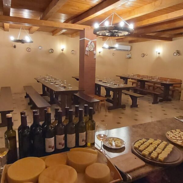 Bereczky-wine-tasting-degustation-20210626_191530